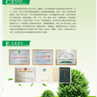 【树友苗木】大量现货10-12公分壮年已结果杨梅树 大果东魁黑炭树图3