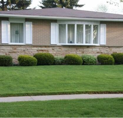 怎么铺设草坪，直接撒草种要注意什么？