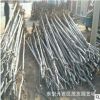 大量供应优质白蜡树 行道大树白蜡树 批发白蜡基地