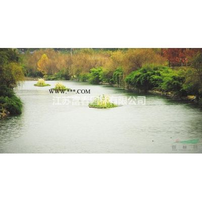雪松，雪松苗，雪松树，大雪松， 别名：香柏雪 松宝塔松 番柏