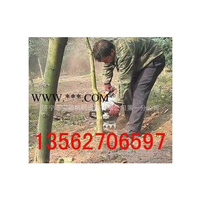 便携式挖树机 汽油机挖树机 三分钟苗木断根挖树机