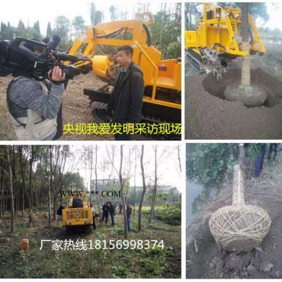 供应园林绿化挖树队苗圃公司专用挖树机