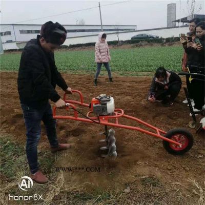 苗圃专用挖树机   山东汽油种植钻眼机  硬土地钻坑打眼机价格