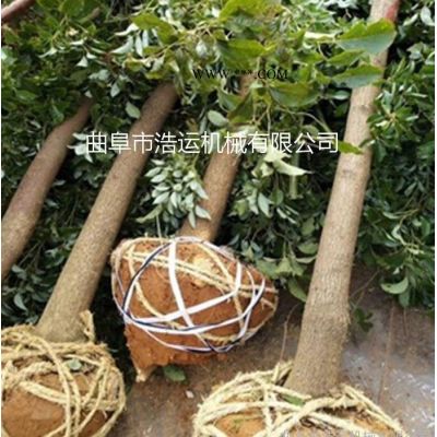 山东曲阜浩运机械工厂批发铲式挖树机轻便灵活挖树机 大功率树木移植挖树机 汽油大马力挖树机