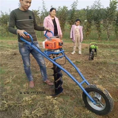 启硕机械畜牧围栏埋桩挖坑机 手提式埋杆挖坑机 园林便携式打树坑机