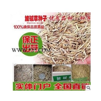 江苏供应高杆月季低价供应,藤本月季.树桩月季。