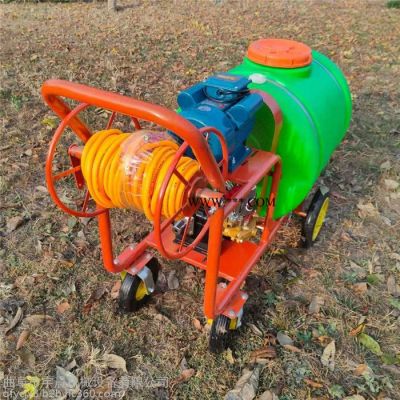 大棚蔬菜打药机 高压泵汽油消毒清洗机