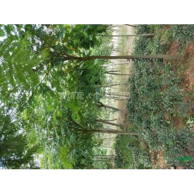 出售园林景观石