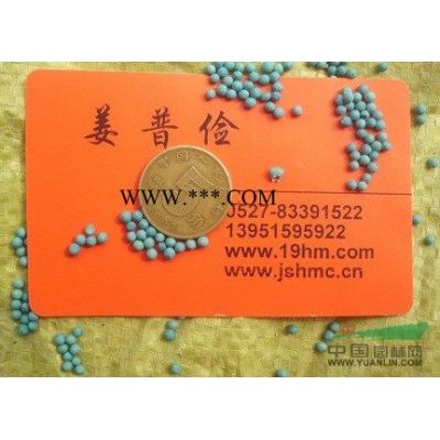 江苏红叶石楠球洒金柏红叶石楠小苗红叶小檗红叶石楠种子快递*图3
