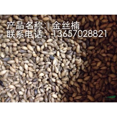 九江祥瑞绿化供应红叶石楠