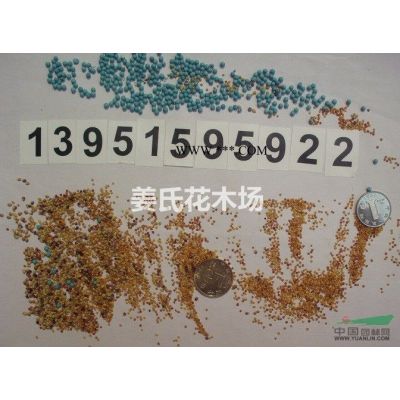 银杏玉兰紫薇紫藤栾树国槐桃核合欢青枫红枫等花木种子不出芽原因图2