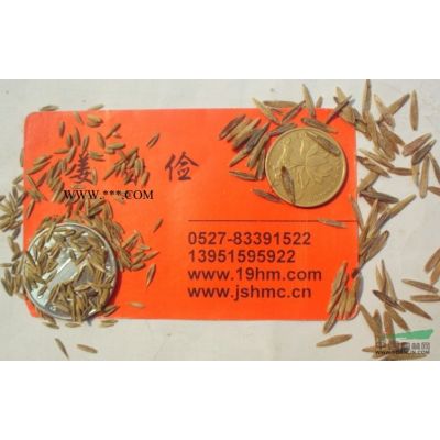 银杏玉兰紫薇紫藤栾树国槐桃核合欢青枫红枫等花木种子不出芽原因图3