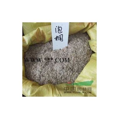 供应红枫种子/江西红枫种子低价格批发