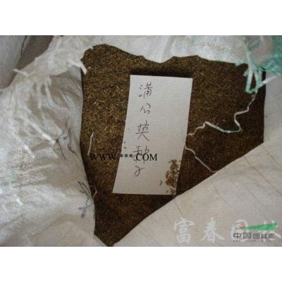 栾树，栾树苗，江苏栾树，别名：灯笼树、栾树价格