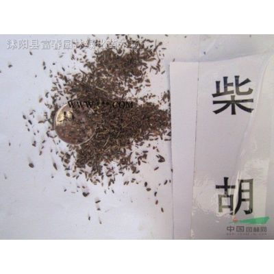 无患子，无患子树苗，沭阳无患子，无患子价格，无患子基地