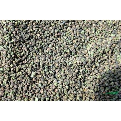 江西红枫2哪里好/哪家便宜