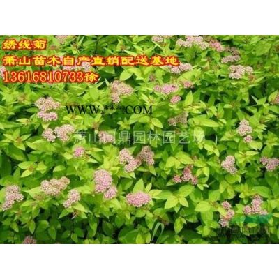 萧山苗木一站式供应链服务商：紫薇/碧桃/海棠/樱花/玉兰红枫