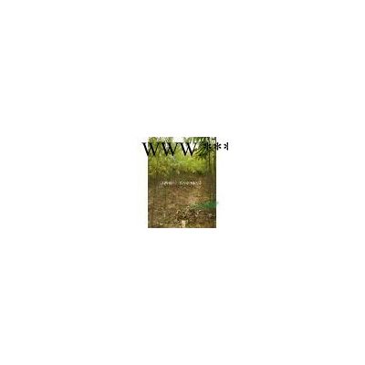 江西无患子树苗，地径2/3公分无患子，无患子小苗价格