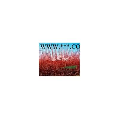 乔木类：榉树、朴树、国槐、高杆女贞、樱花、楸树、紫荆、紫薇