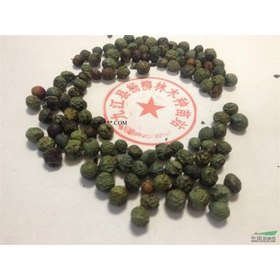＜供应精品樱花、樱花苗木价格、精品晚樱＞