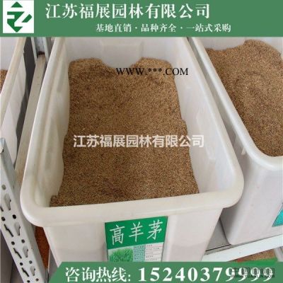 江苏合欢介绍