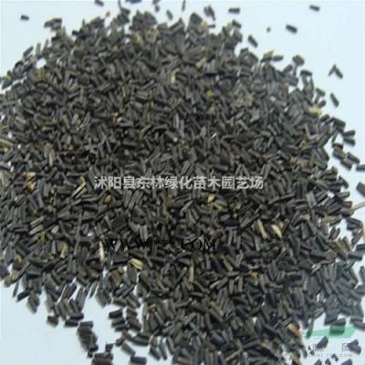 榉树.红枫.木槿.意杨.樱花.紫薇.合欢.高杆女贞