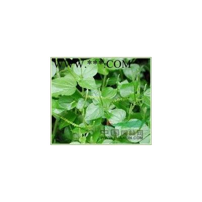 白蜡河北白蜡*便宜的白蜡在定州