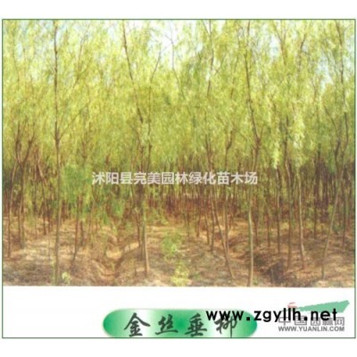 春鹃，夏鹃，紫鹃，毛鹃， 杜鹃
