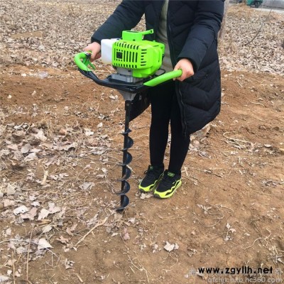 驰航机械 林地植树小型挖坑机 绿化苗木打孔机 植树地面挖树坑机 批发电动挖坑机 价格