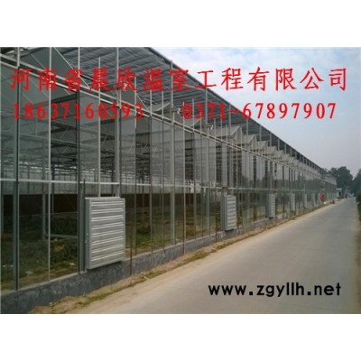 其他绿化苗木长期大量低价供应 温室大棚 卷膜器 保温被 万向节卷膜器