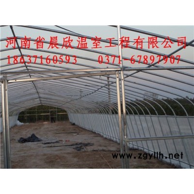 其他绿化苗木专业生产安装农业用温室大棚