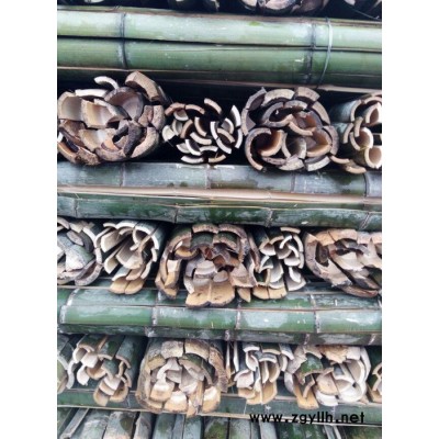 赤壁 菜架 竹竿 竹子 竹子批发 楠竹  3m 其他绿化苗木