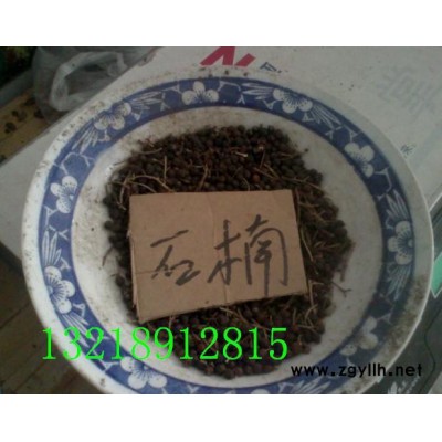 绿化苗木种子，花木种子，花卉种子