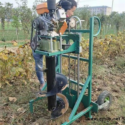 围栏埋桩用打洞机 启航绿化苗木打孔机 手提式硬地打洞机