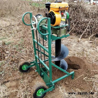 家用便携式钻土机 启航绿化苗木打孔机 养护植保挖坑机型号