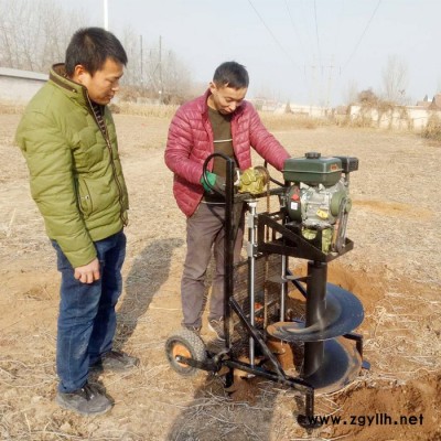 种树打孔机 菜园子篱笆桩打洞机 绿化苗木种植打眼机