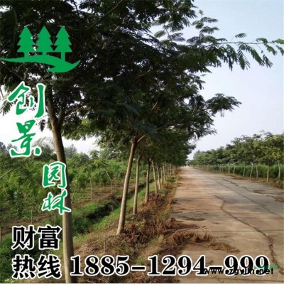 【红王子锦带】红王子锦带_价格_图片_产地报价表