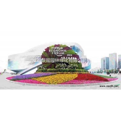 木槿批发基地供应各类规格的木槿工程苗