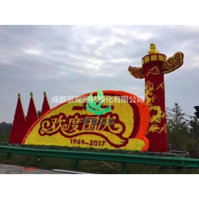 茶梅球，茶梅笼子，茶梅球形，茶梅笼子出售