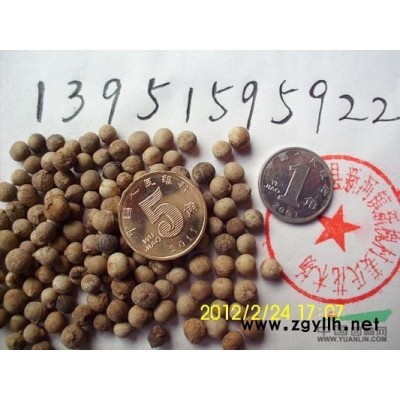 云南黄馨南迎春花江苏红王子锦带花红瑞木连翘木槿价格低包邮寄