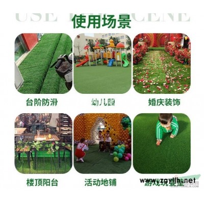 连翘、云南黄馨、十大功劳、落羽杉