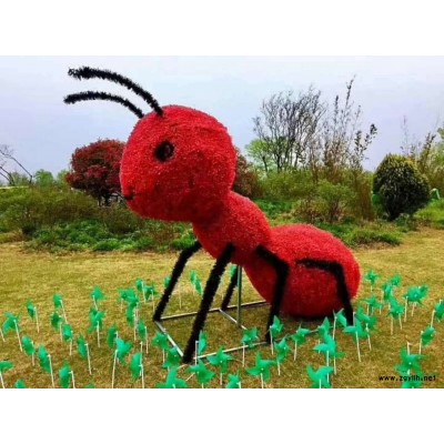 精品紫丁香球球80-1.5米大长期供应出售  欢迎咨询