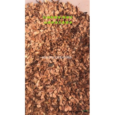 药用连翘苗今年价格==1-2-3年连翘苗种植几年结果