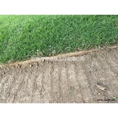 精品百慕大货发*