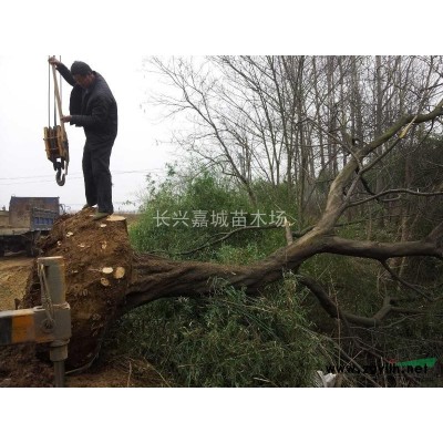 随车吊，随车吊供应，2014年随车吊价格，浙江随车吊供应