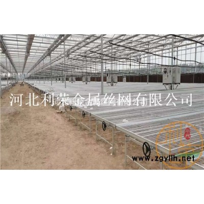 花卉苗床网  花卉种植苗床网