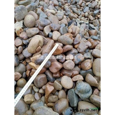 东莞天然鹅卵石铺路石——艺术之作