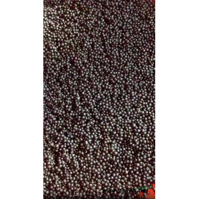 大量供应优质文竹种子