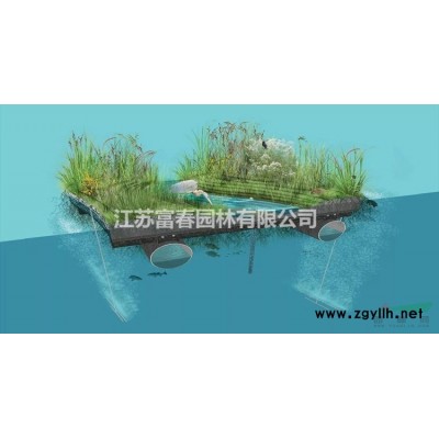 彩叶豆梨*都厂家大小规格* 树形壮苗