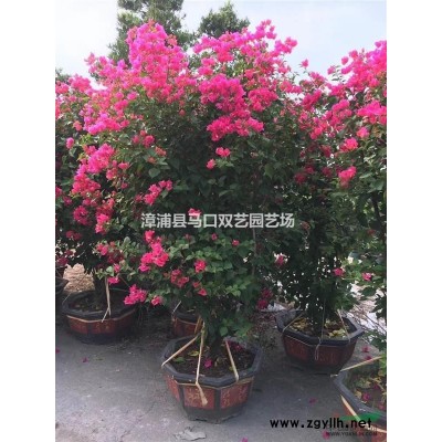 福建马尾铁信息